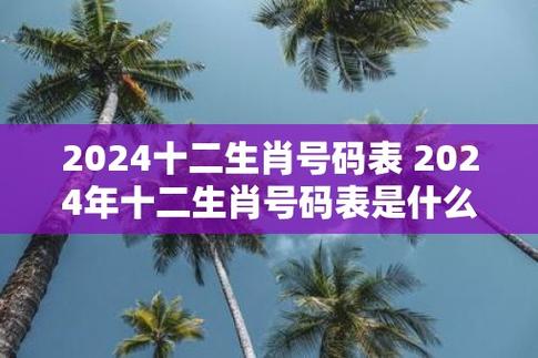 2024澳门资料生肖表，2024十二生肖49个码