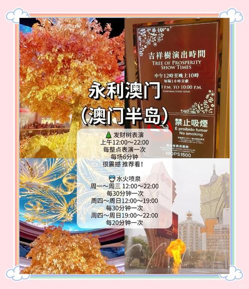 澳门最精准免费资料大全旅游景点和来自太空的端午祝福与来自太空的祝福内容