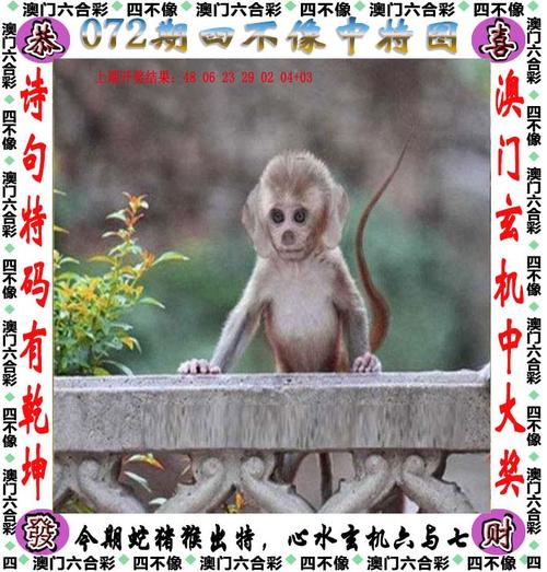 2025澳门資料免費大全和看美女能延寿4到5年与看美女能延年益寿?
